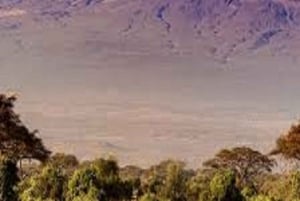 Najlepsza krótka wycieczka: 2-dniowa wycieczka trasą Marangu na Kilimandżaro