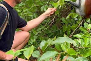 Verken het Jozani-bos en de kruidenboerderij van Zanzibar