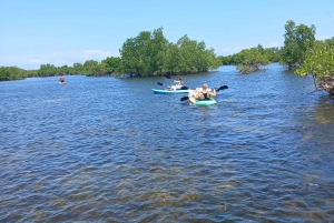 ZANZIBAR : Kayak tour in mangrove forest with lunch