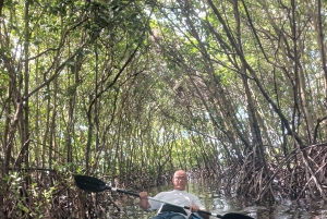 ZANZIBAR : Kayak tour in mangrove forest with lunch