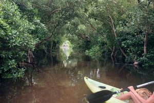 ZANZIBAR : Kayak tour in mangrove forest with lunch
