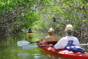 ZANZIBAR : Kayak tour in mangrove forest with lunch