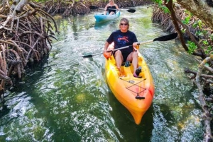 ZANZIBAR : Kayak tour in mangrove forest with lunch
