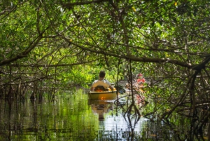 ZANZIBAR : Kayak tour in mangrove forest with lunch
