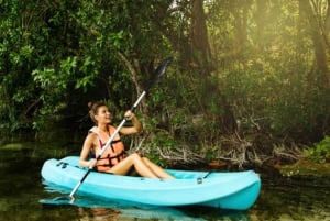 ZANZIBAR : Kayak tour in mangrove forest with lunch