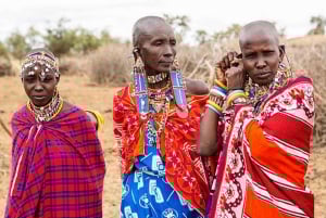 Escursione di un giorno alla scoperta della cultura Maasai, famosa in tutto il mondo