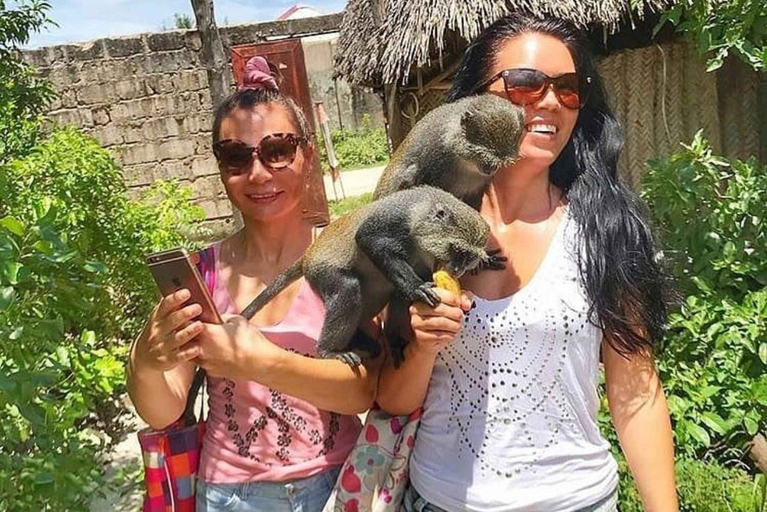 Explore Zanzibar Wildlife Zoo and Baraka Natural Aquarium