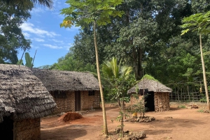 Exploring The Zanzibar Nature Full Day Trip