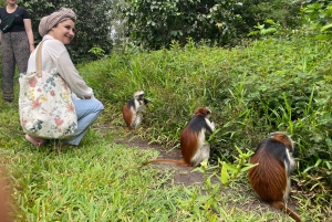 Exploring The Zanzibar Nature Full Day Trip