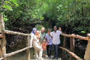 Excursión privada de un día Explorando la Naturaleza de Zanzíbar