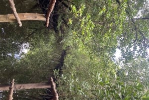 Excursión privada de un día Explorando la Naturaleza de Zanzíbar