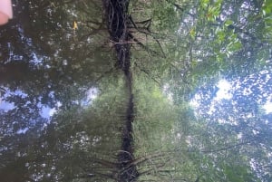 Excursión privada de un día Explorando la Naturaleza de Zanzíbar