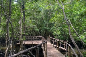 Excursión privada de un día Explorando la Naturaleza de Zanzíbar