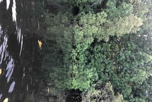 Excursión privada de un día Explorando la Naturaleza de Zanzíbar