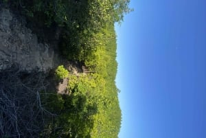 Excursión privada de un día Explorando la Naturaleza de Zanzíbar