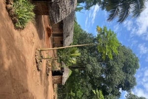 Excursión privada de un día Explorando la Naturaleza de Zanzíbar