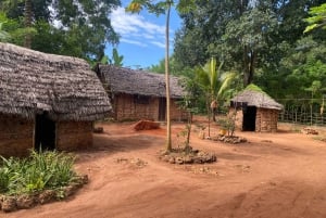Excursión privada de un día Explorando la Naturaleza de Zanzíbar