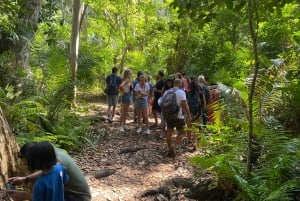 Excursión privada de un día Explorando la Naturaleza de Zanzíbar