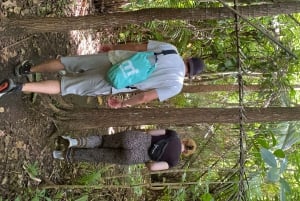 Excursión privada de un día Explorando la Naturaleza de Zanzíbar