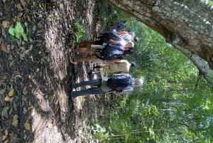Excursión privada de un día Explorando la Naturaleza de Zanzíbar