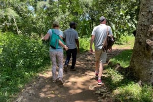 Excursión privada de un día Explorando la Naturaleza de Zanzíbar
