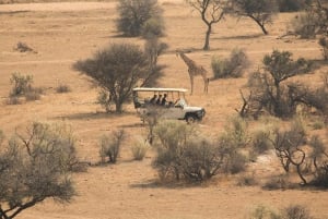 Flight Adventure from Zanzibar to Nyerere NP: 2 Days 1 Night