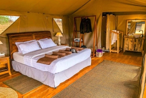 Auf den Spuren der großen Migration – 2025