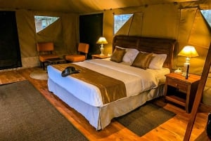 Auf den Spuren der großen Migration – 2025