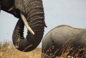 Auf den Spuren der großen Migration – 2025