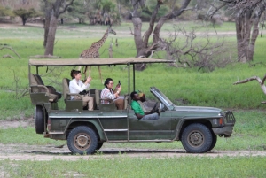 Fra Zanzibar: Dagsudflugt på safari