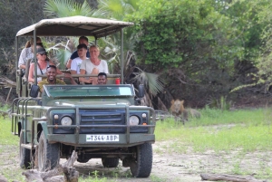 Fra Zanzibar: Dagsudflugt på safari