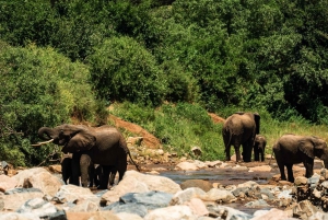 From Arusha: 2-Day Safari Through Tarangire and Lake Manyara