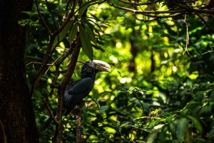 From Arusha: 2-Day Safari Through Tarangire and Lake Manyara