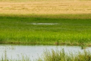 From Arusha: 2-Day Safari Through Tarangire and Lake Manyara