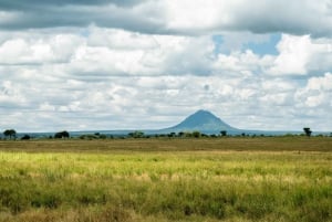 From Arusha: 2-Day Safari Through Tarangire and Lake Manyara