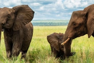 From Arusha: 2-Day Safari Through Tarangire and Lake Manyara