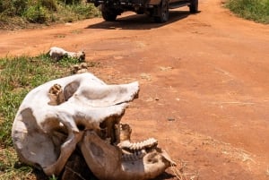 From Arusha: 2-Day Safari Through Tarangire and Lake Manyara
