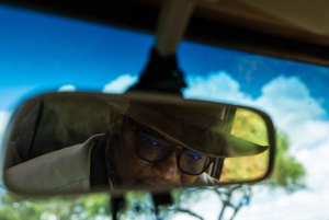 From Arusha: 2-Day Safari Through Tarangire and Lake Manyara