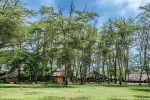 From Arusha: 2-Day Safari Through Tarangire and Lake Manyara