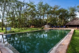 From Arusha: 2-Day Safari Through Tarangire and Lake Manyara