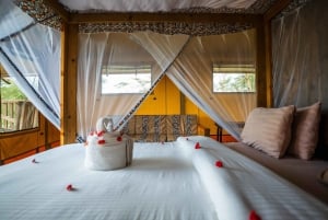 From Arusha: 2-Day Safari Through Tarangire and Lake Manyara