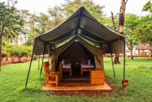 From Arusha: 2-Day Safari Through Tarangire and Lake Manyara