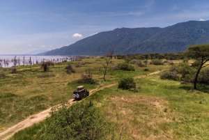 From Arusha: 2-Day Safari Through Tarangire and Lake Manyara