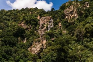 From Arusha: 2-Day Safari Through Tarangire and Lake Manyara