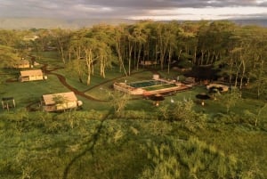 From Arusha: 2-Day Safari Through Tarangire and Lake Manyara