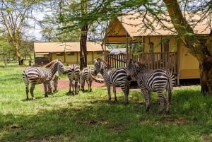 From Arusha: 2-Day Safari Through Tarangire and Lake Manyara