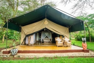 From Arusha: 2-Day Safari Through Tarangire and Lake Manyara