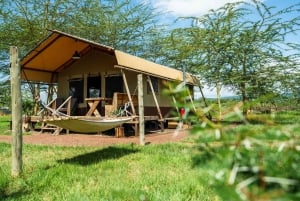 From Arusha: 2-Day Safari Through Tarangire and Lake Manyara