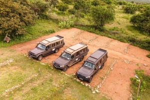 From Arusha: 2-Day Safari Through Tarangire and Lake Manyara