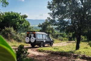 From Arusha: 2-Day Safari Through Tarangire and Lake Manyara